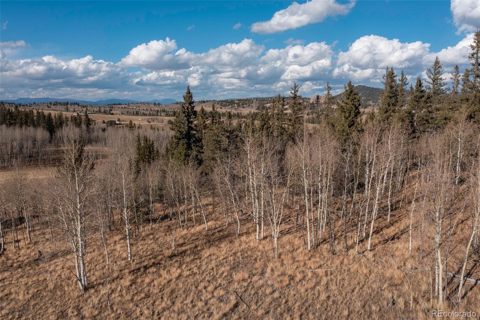 2387 Buffalo Ridge Road Como CO 80432