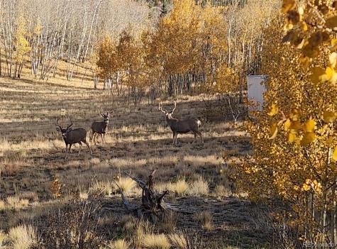 2387 Buffalo Ridge Road Como CO 80432