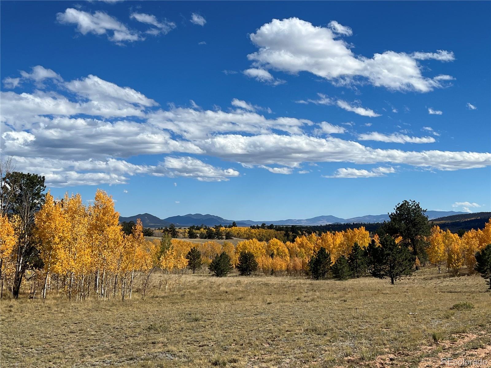 2387 Buffalo Ridge Road Como CO 80432