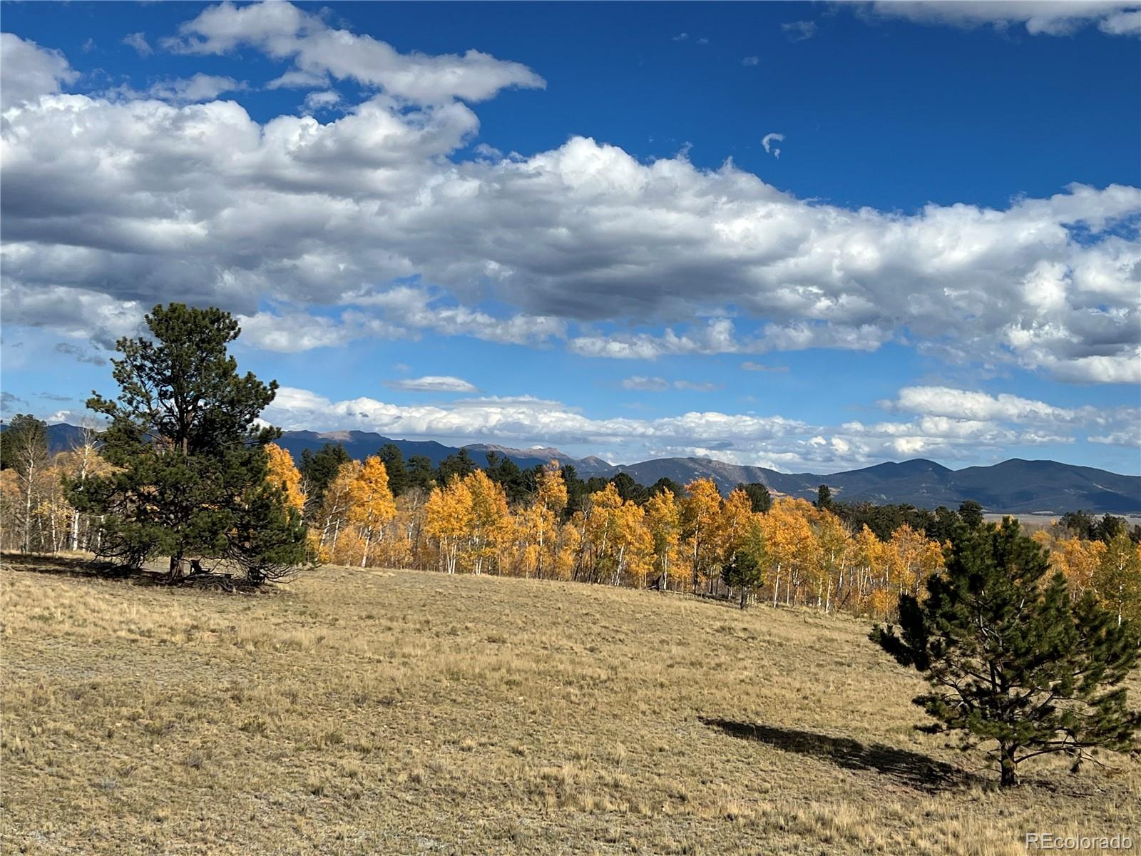 2387 Buffalo Ridge Road Como CO 80432