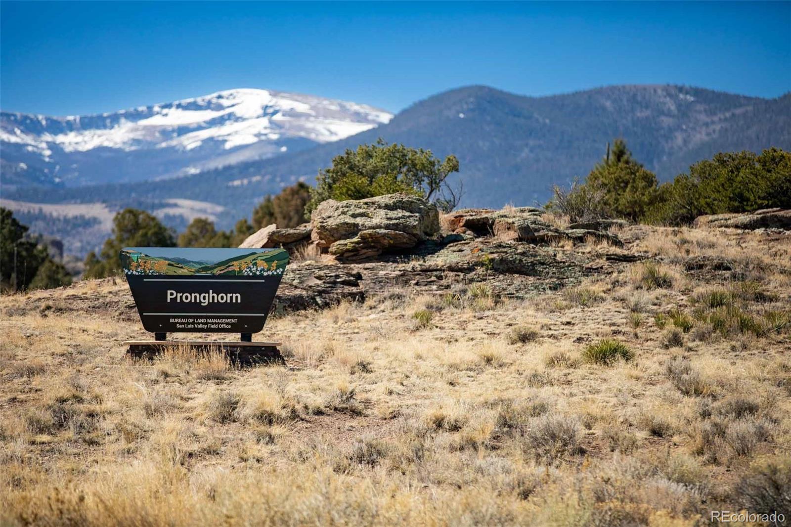 1080 Pronghorn Trail Del Norte CO 81132
