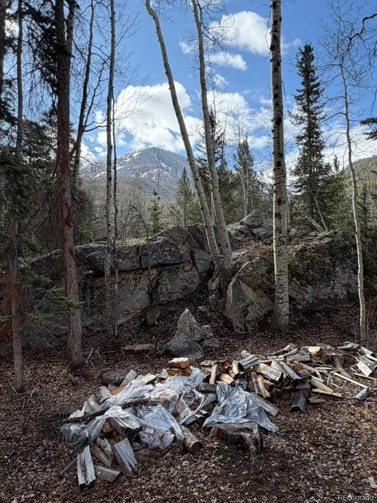 25981 County Road 162 E Nathrop CO 81236