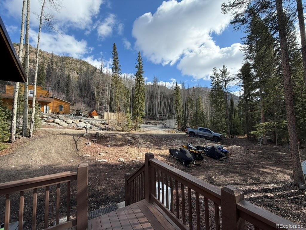 25981 County Road 162 E Nathrop CO 81236