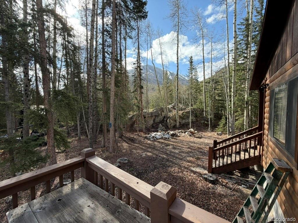 25981 County Road 162 E Nathrop CO 81236