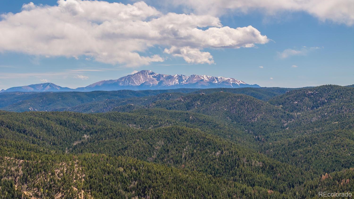 13939 Forest Lane Larkspur CO 80118