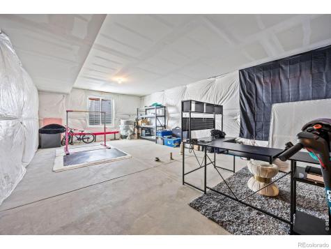 1875 Blossom Grove Drive Windsor CO 80550
