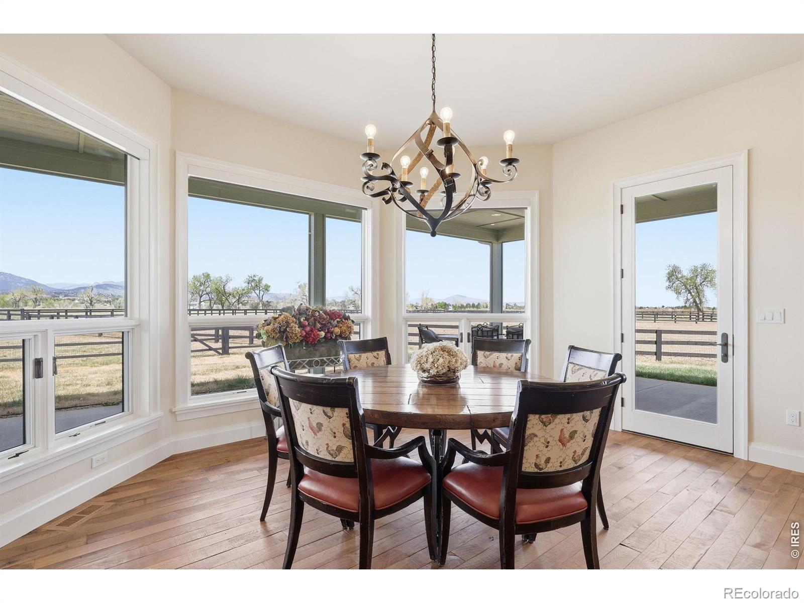 3901 Freedom Ranch Place Loveland CO 80537