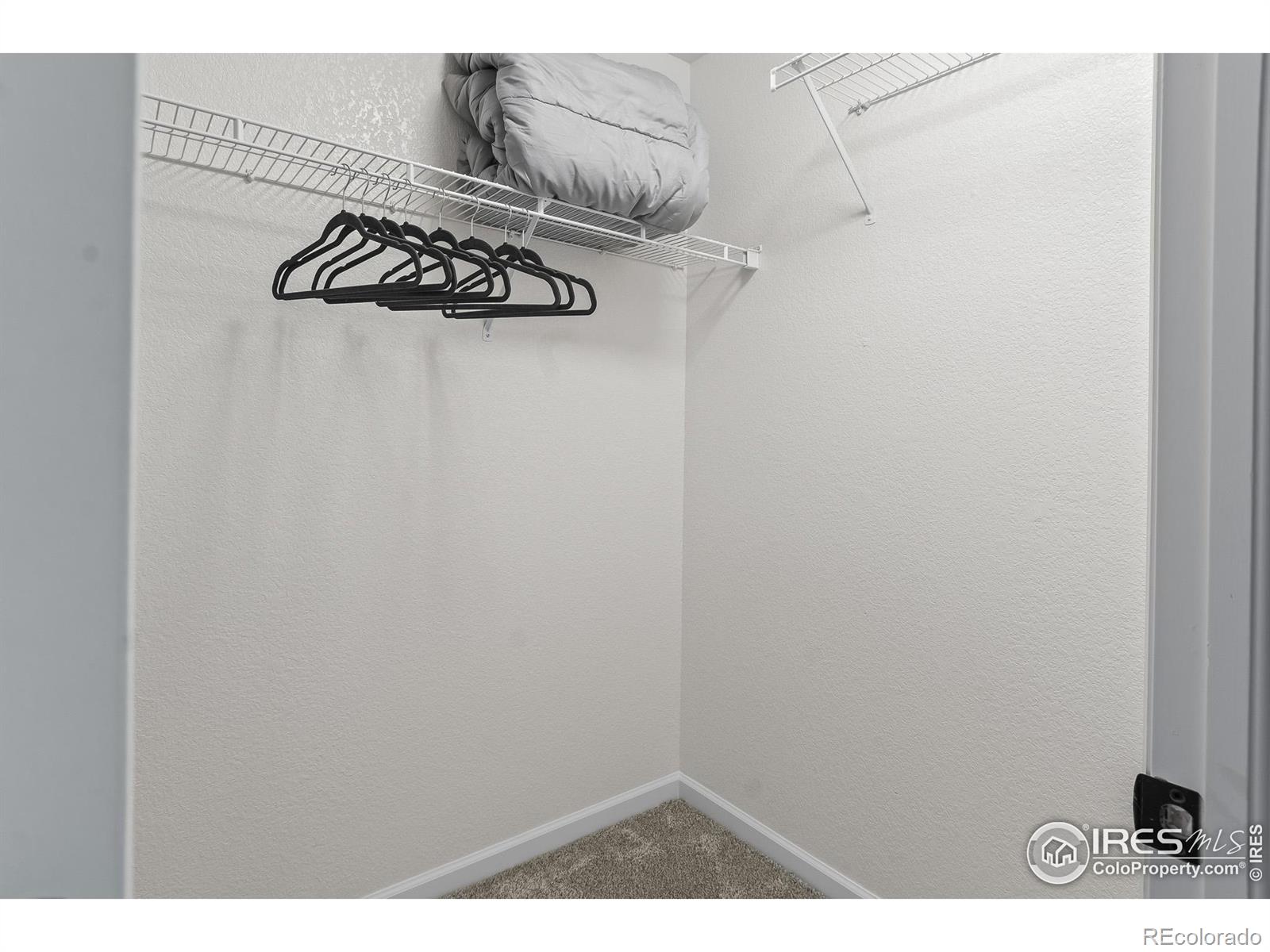 3114 Michelle Court Loveland CO 80537
