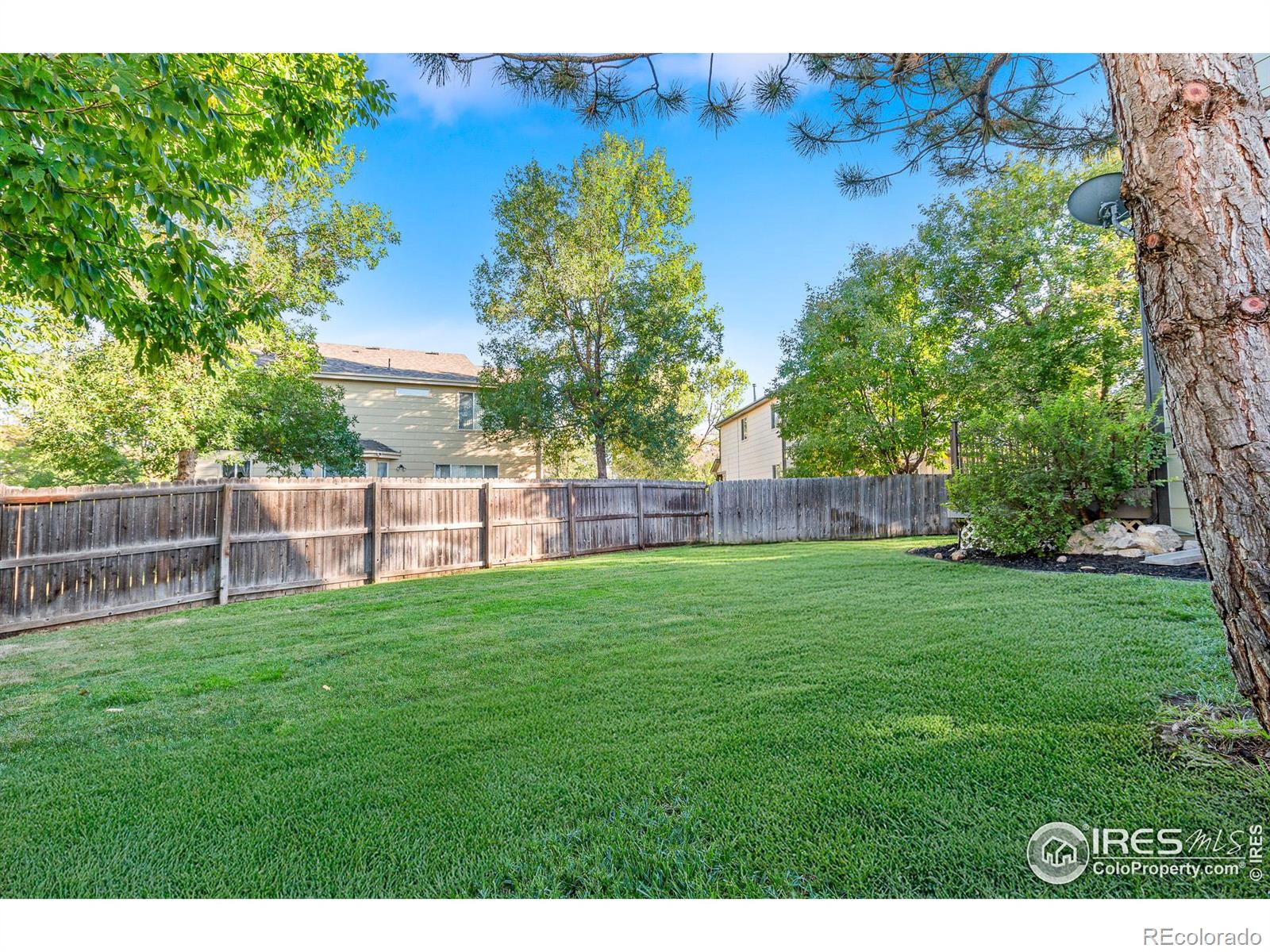 3114 Michelle Court Loveland CO 80537