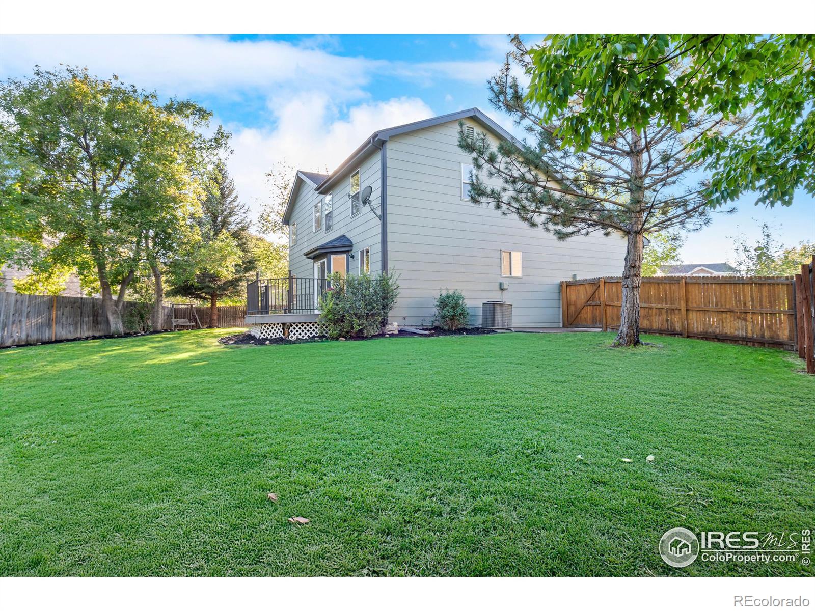 3114 Michelle Court Loveland CO 80537