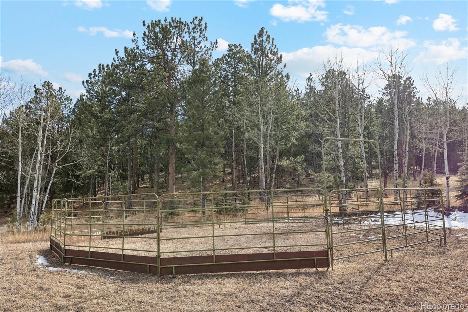 2230 County Road 72 Bailey CO 80421
