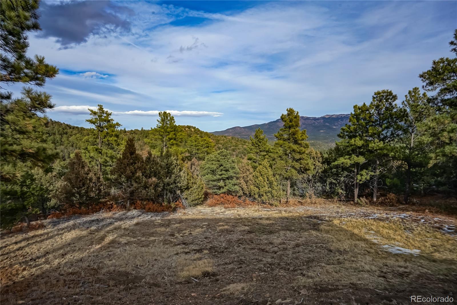 33280 Turkey Creek Lane Trinidad CO 81082