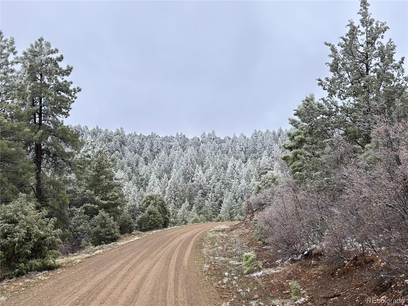 33280 Turkey Creek Lane Trinidad CO 81082