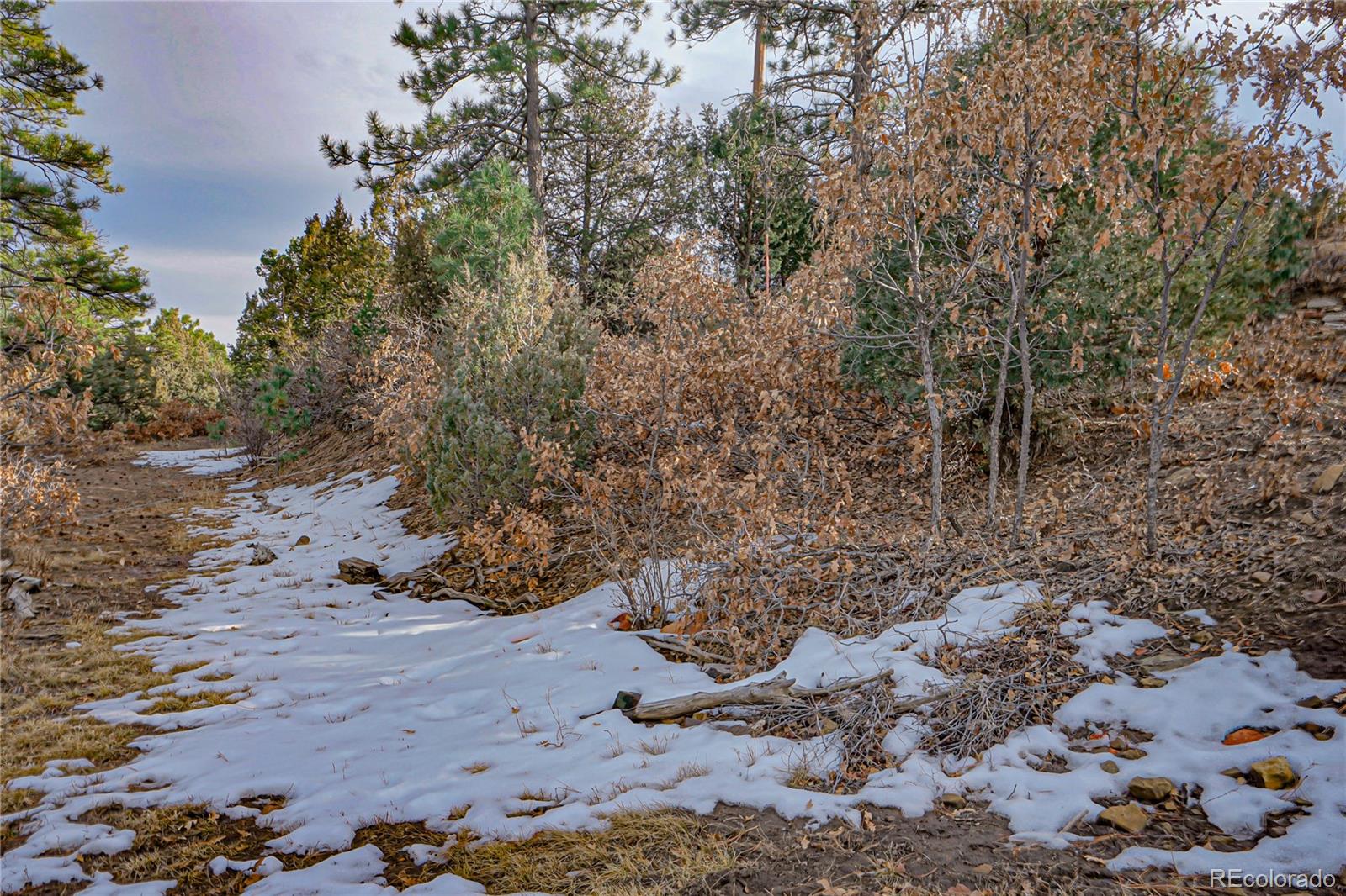 33280 Turkey Creek Lane Trinidad CO 81082