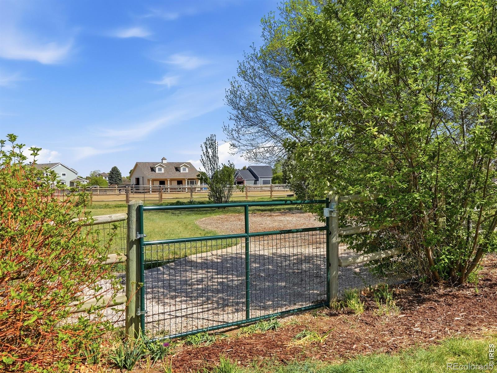 4364 Haystack Drive Windsor CO 80550