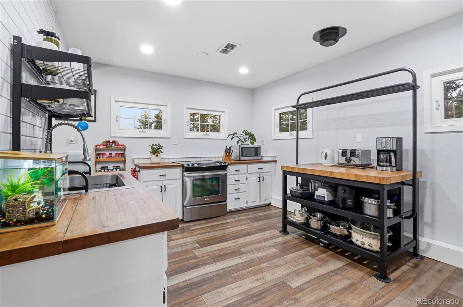 31551 Black Widow Drive Conifer CO 80433