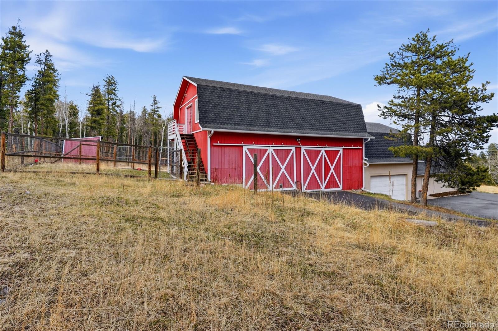 31551 Black Widow Drive Conifer CO 80433