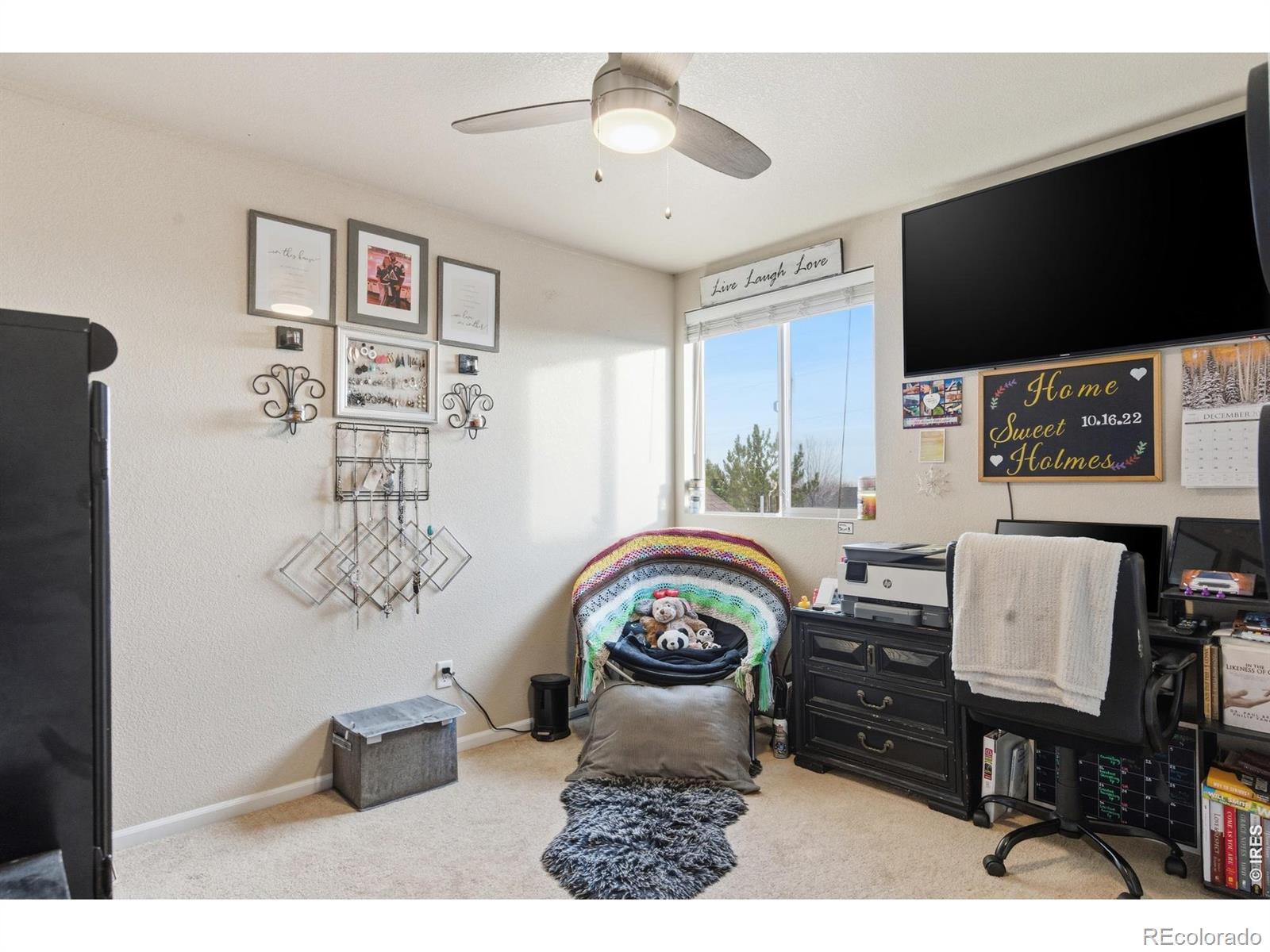 3462 Hewitt Street Loveland CO 80538