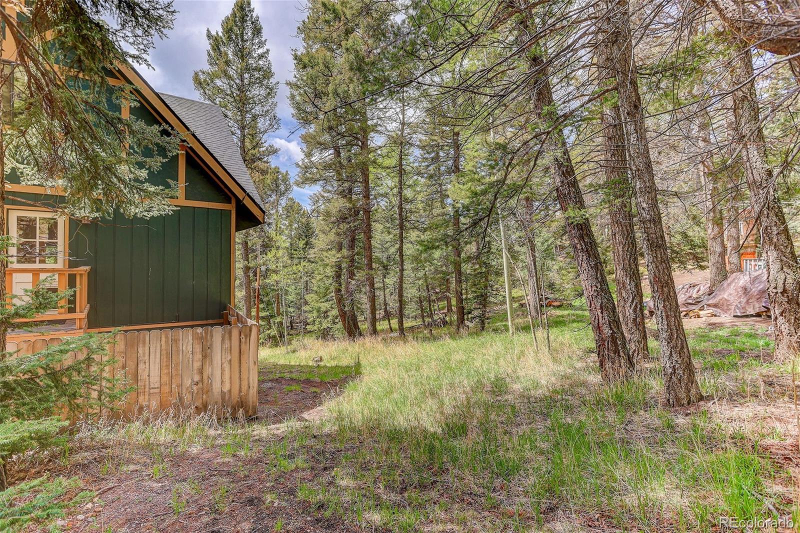 30914 Kings Valley Drive Conifer CO 80433