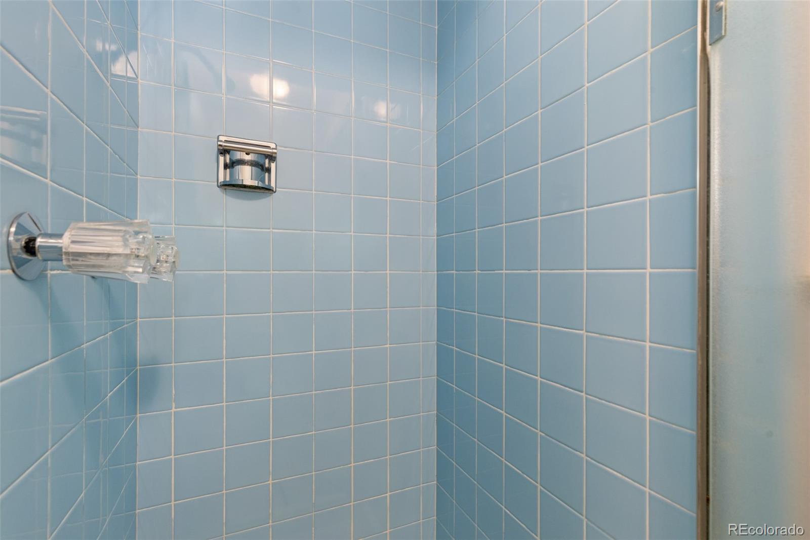 2622 S Brentwood Court Lakewood CO 80227
