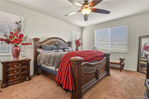 3921 John Court Castle Rock CO 80104