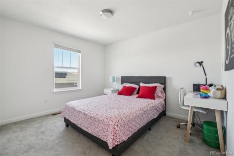 8073 Mount Lincoln Road Littleton CO 80125
