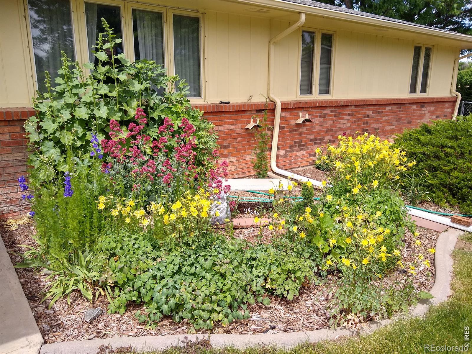 1327 Audubon Place Loveland CO 80538