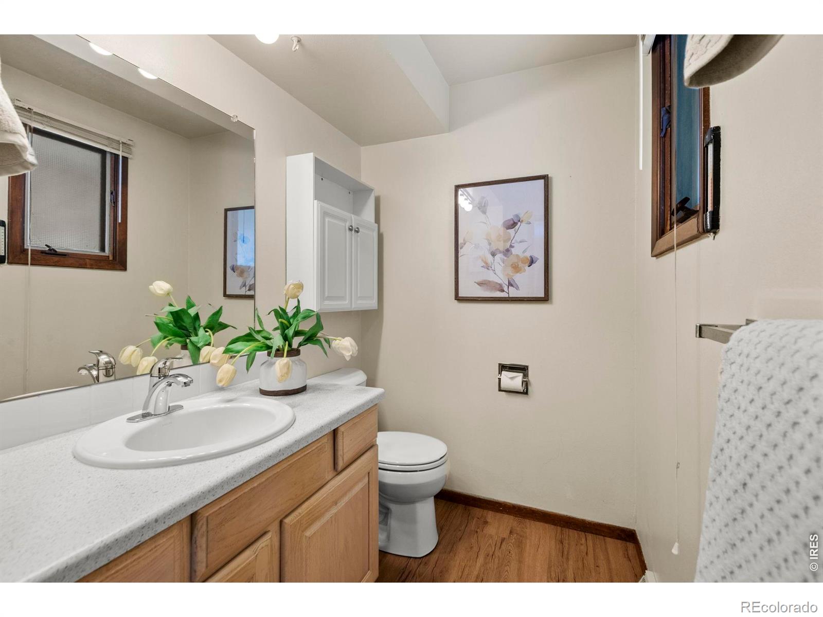 1327 Audubon Place Loveland CO 80538