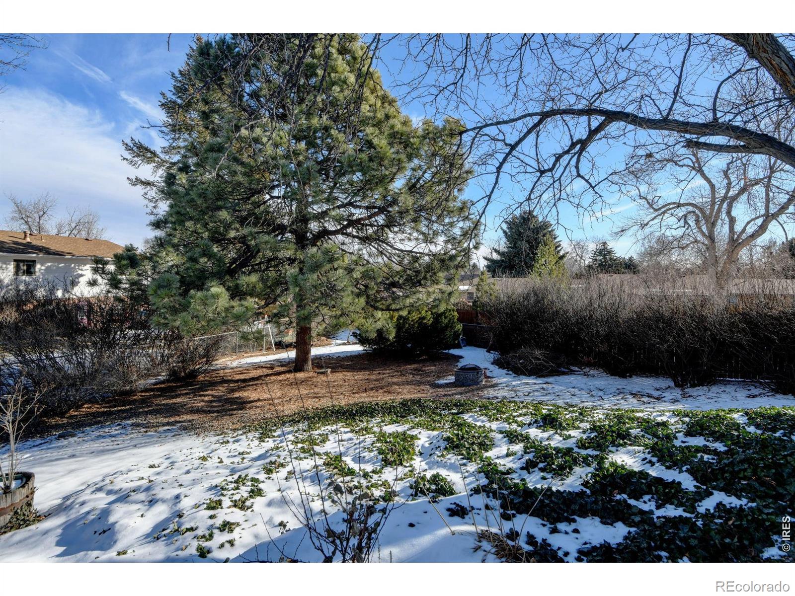 1327 Audubon Place Loveland CO 80538