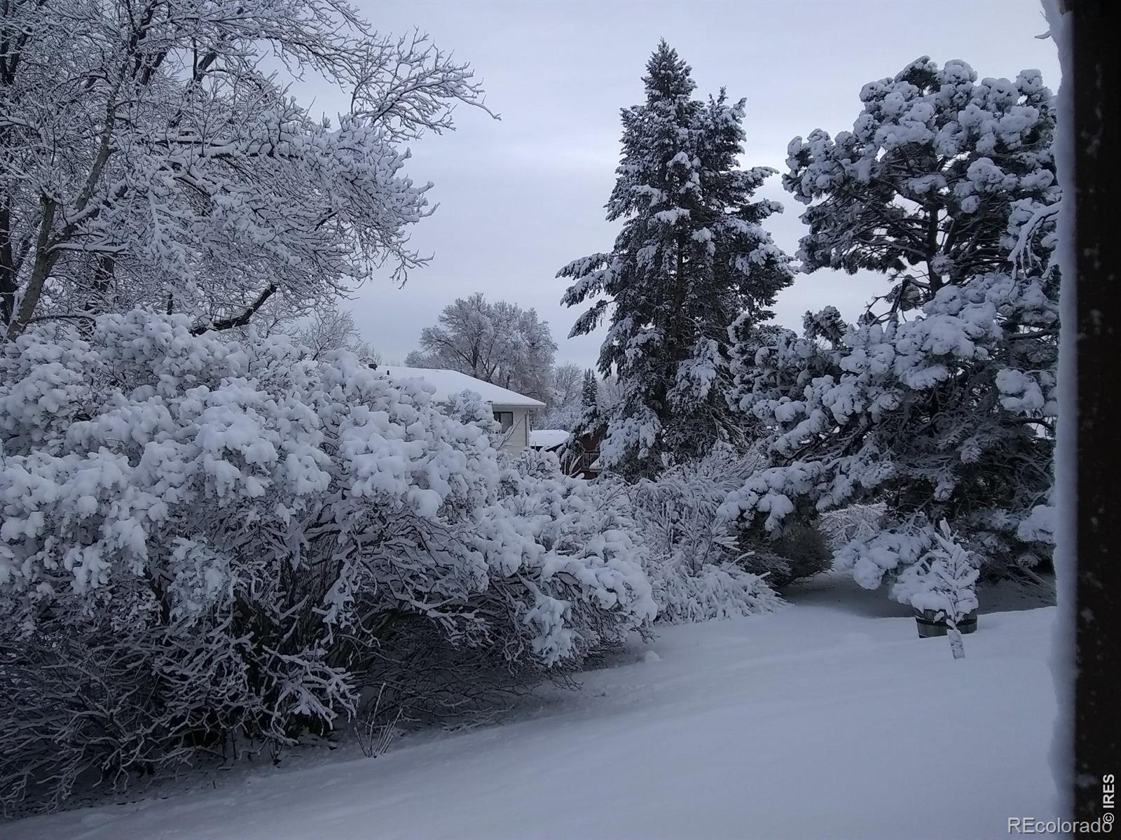 1327 Audubon Place Loveland CO 80538