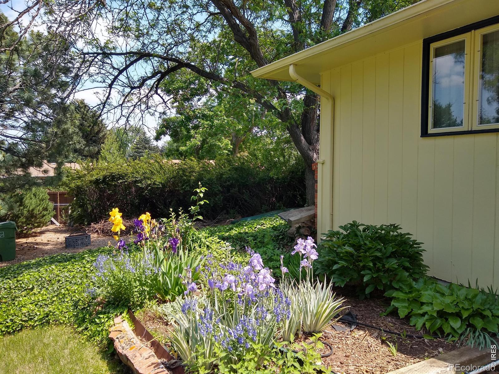1327 Audubon Place Loveland CO 80538