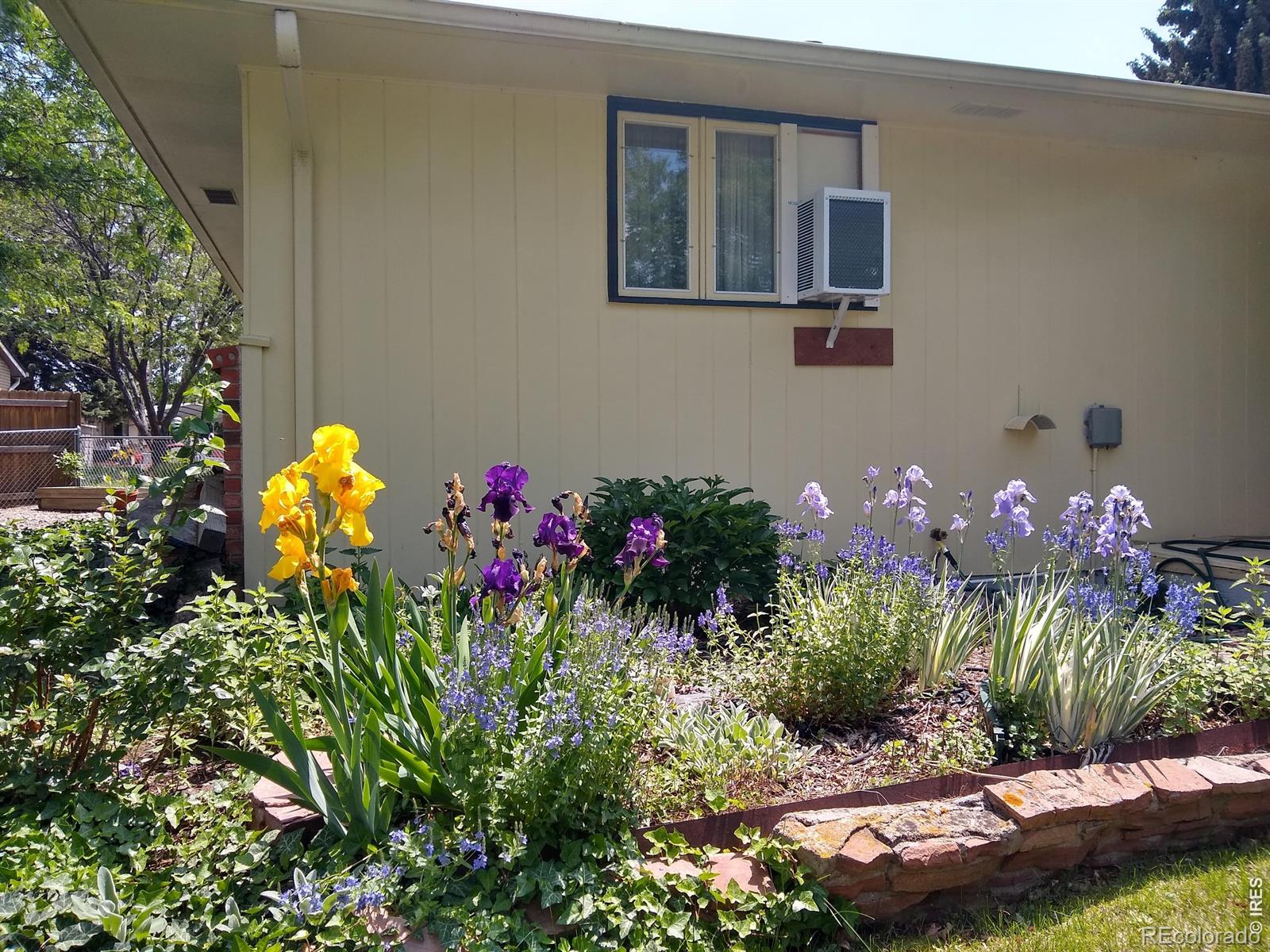 1327 Audubon Place Loveland CO 80538