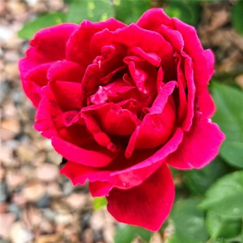 13400 W 73rd Avenue Arvada CO 80005