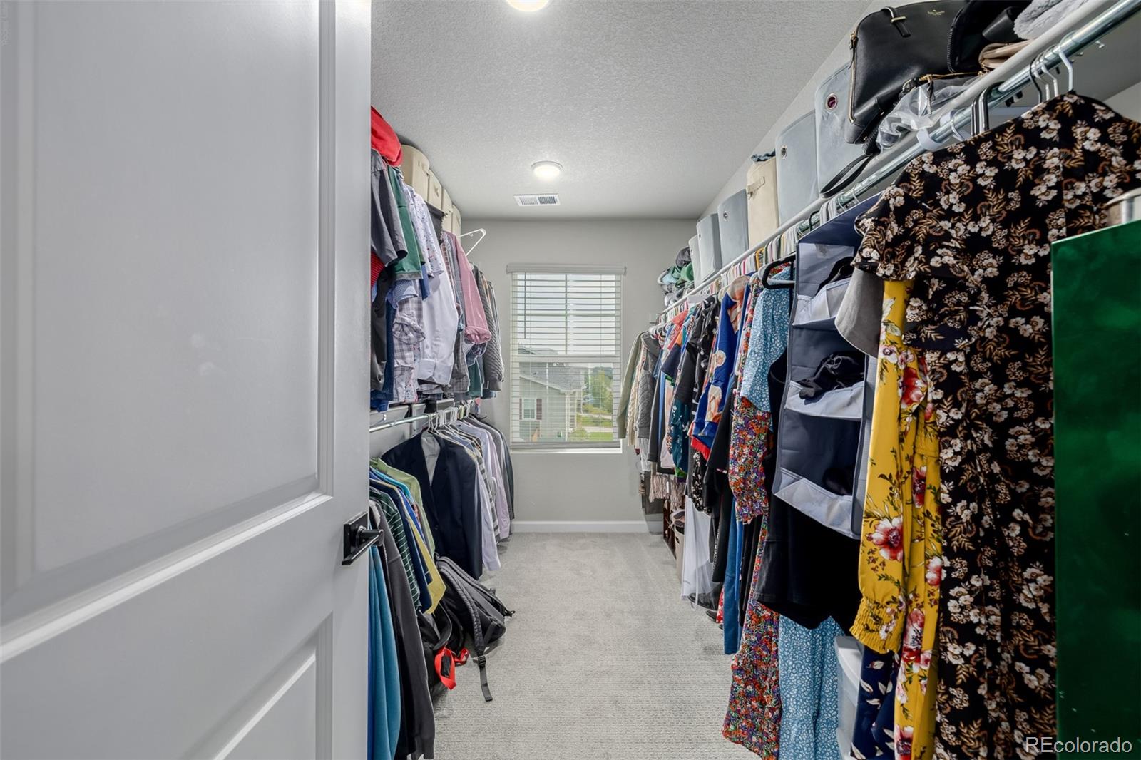 521 Bear Peak Court Erie CO 80516