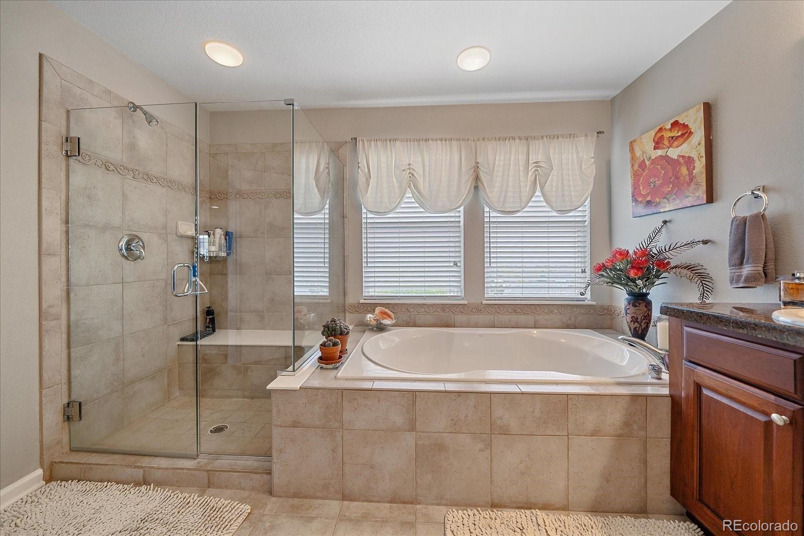 3007 Danbury Avenue Highlands Ranch CO 80126