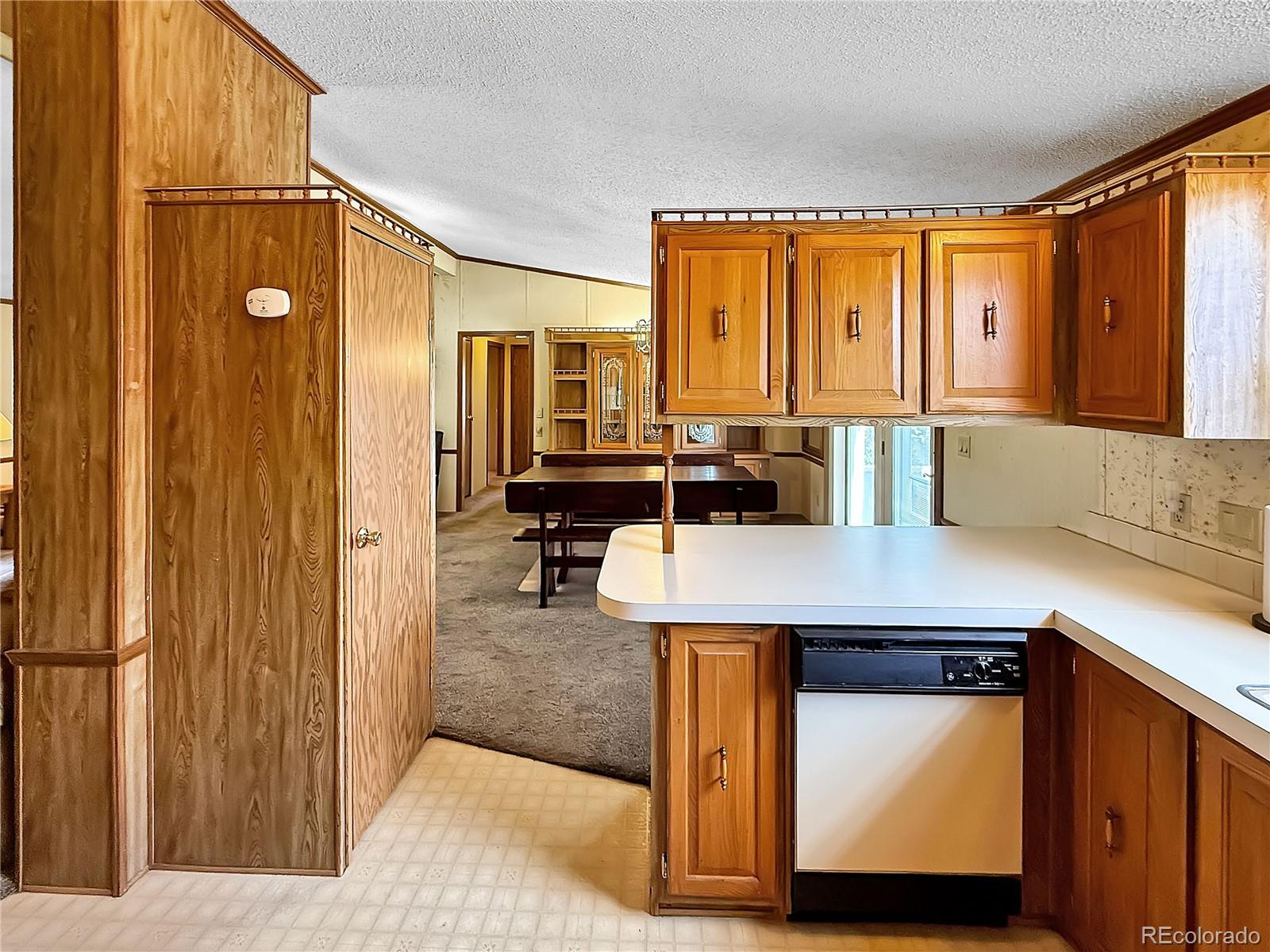 205 E 8th Street Flagler CO 80815