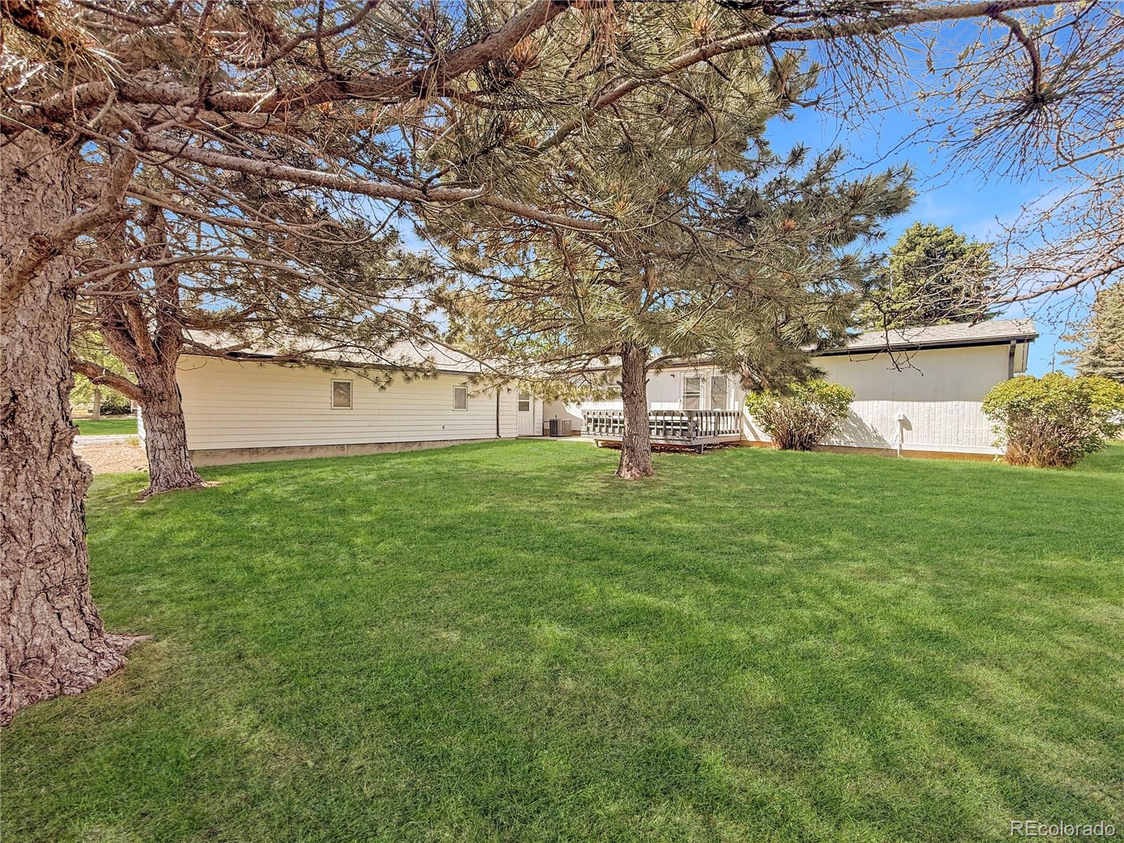 205 E 8th Street Flagler CO 80815
