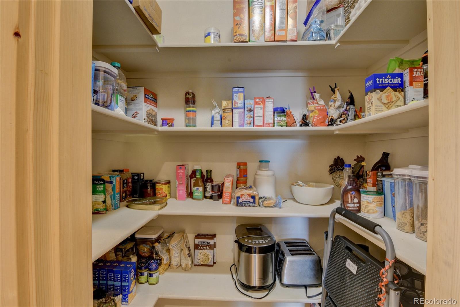 31377 Glenview Drive Buena Vista CO 81211