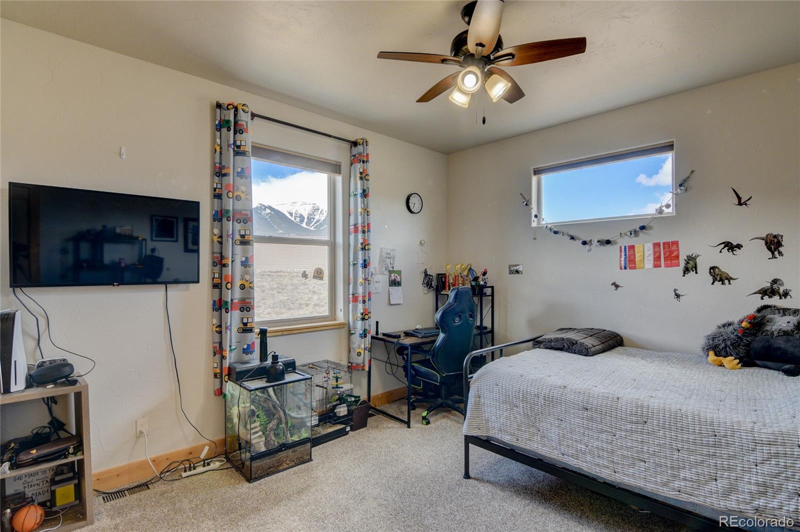 31377 Glenview Drive Buena Vista CO 81211