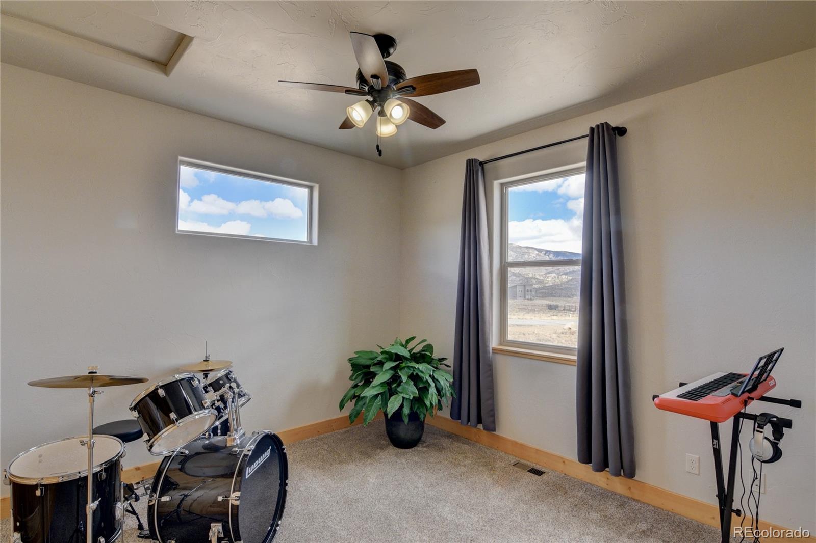 31377 Glenview Drive Buena Vista CO 81211