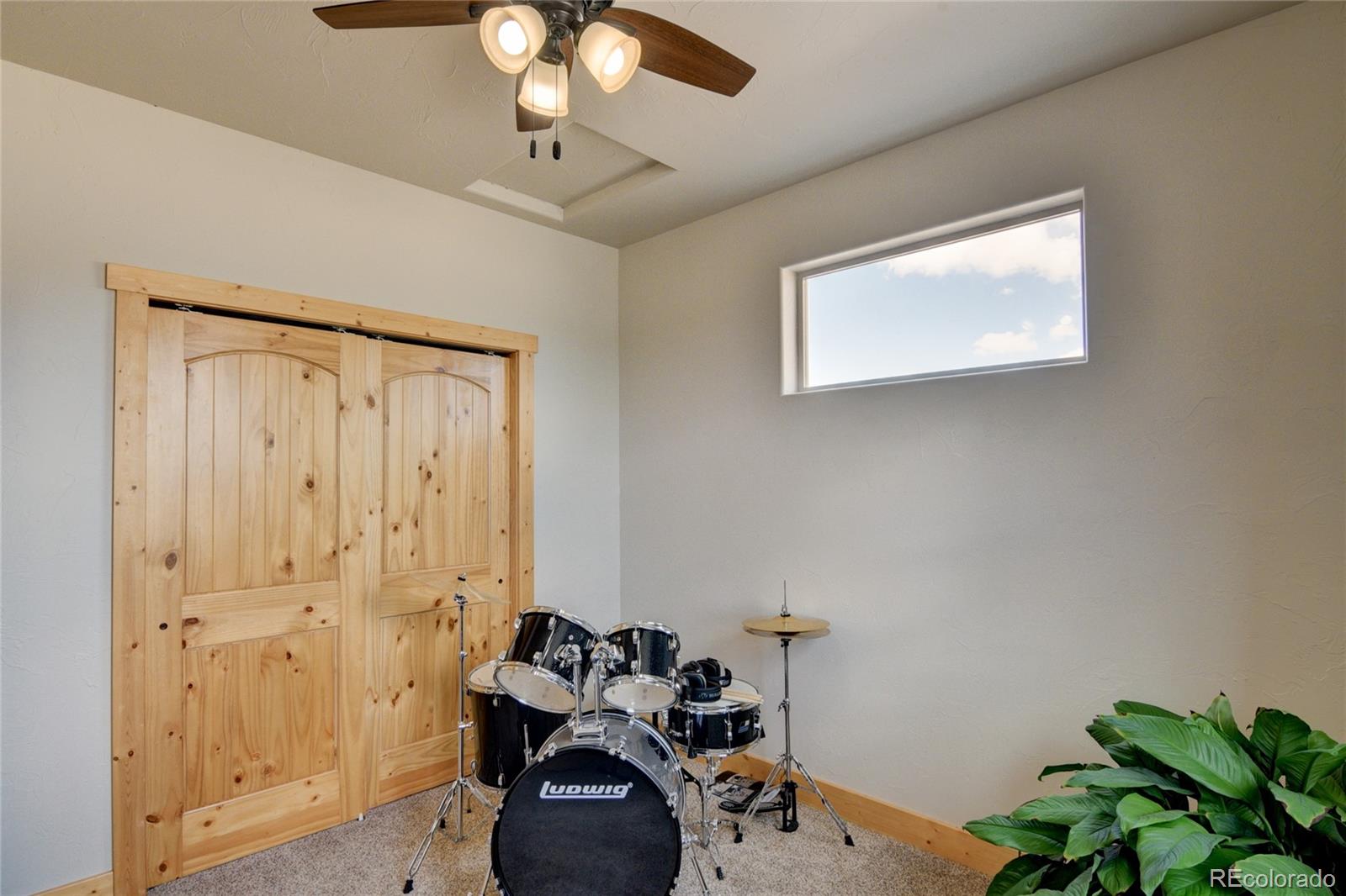 31377 Glenview Drive Buena Vista CO 81211