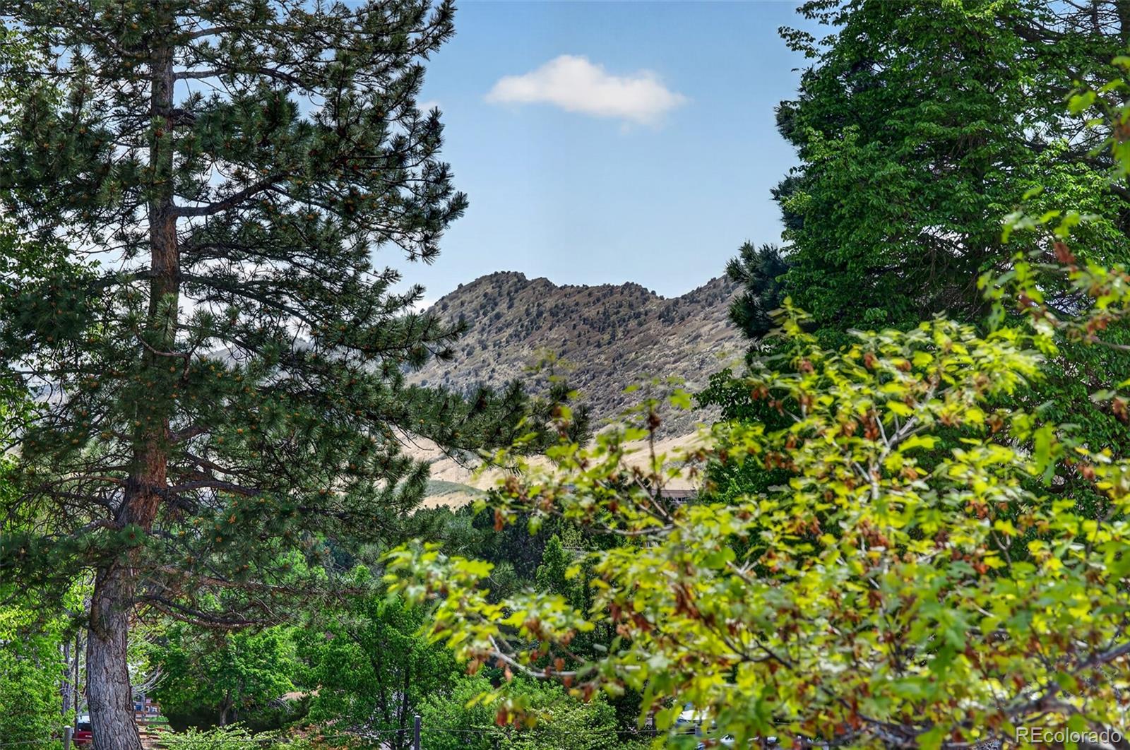 8093 S Vermejo Peak Littleton CO 80127