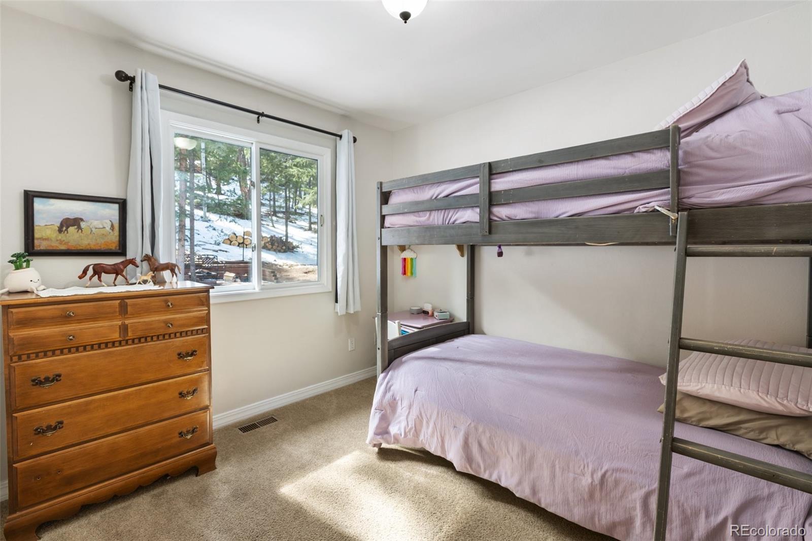 2865 Sunnywood Avenue Woodland Park CO 80863