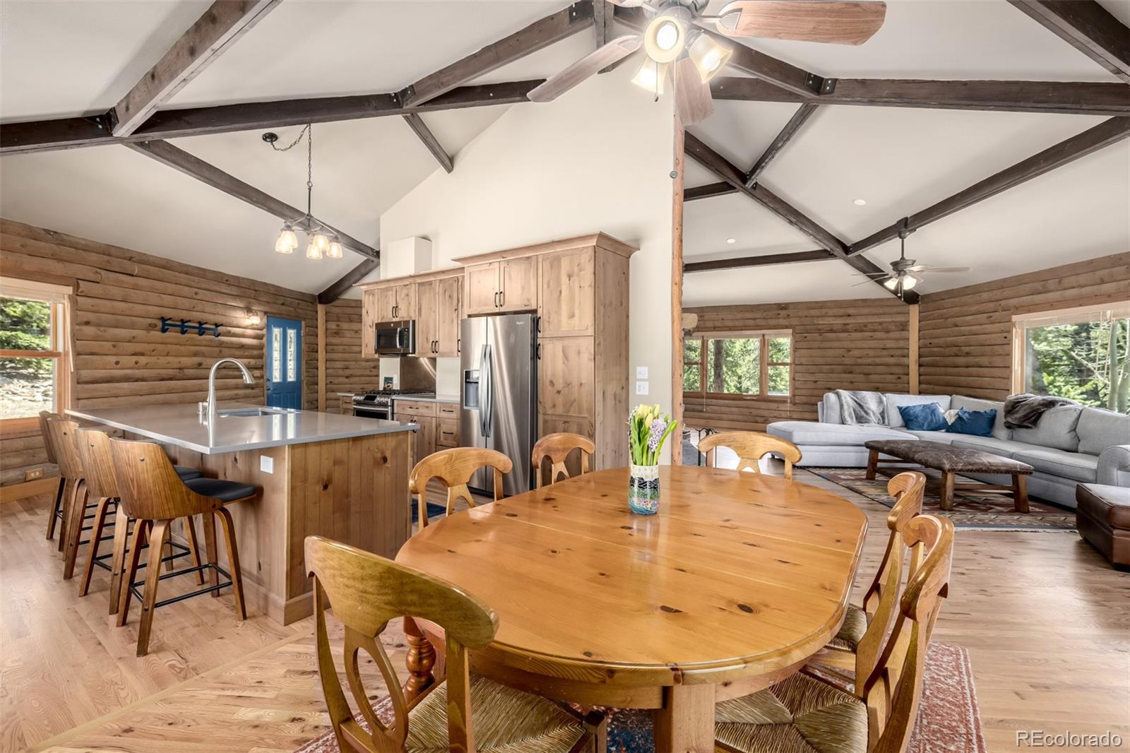 260 Pine Drive Idaho Springs CO 80452