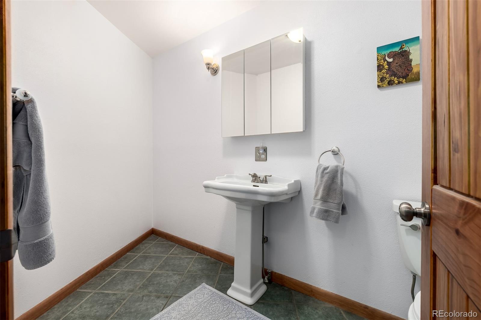 260 Pine Drive Idaho Springs CO 80452