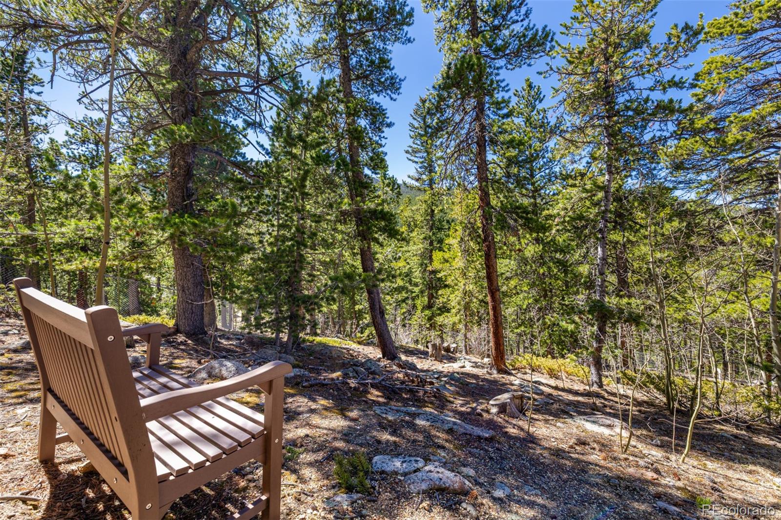 260 Pine Drive Idaho Springs CO 80452