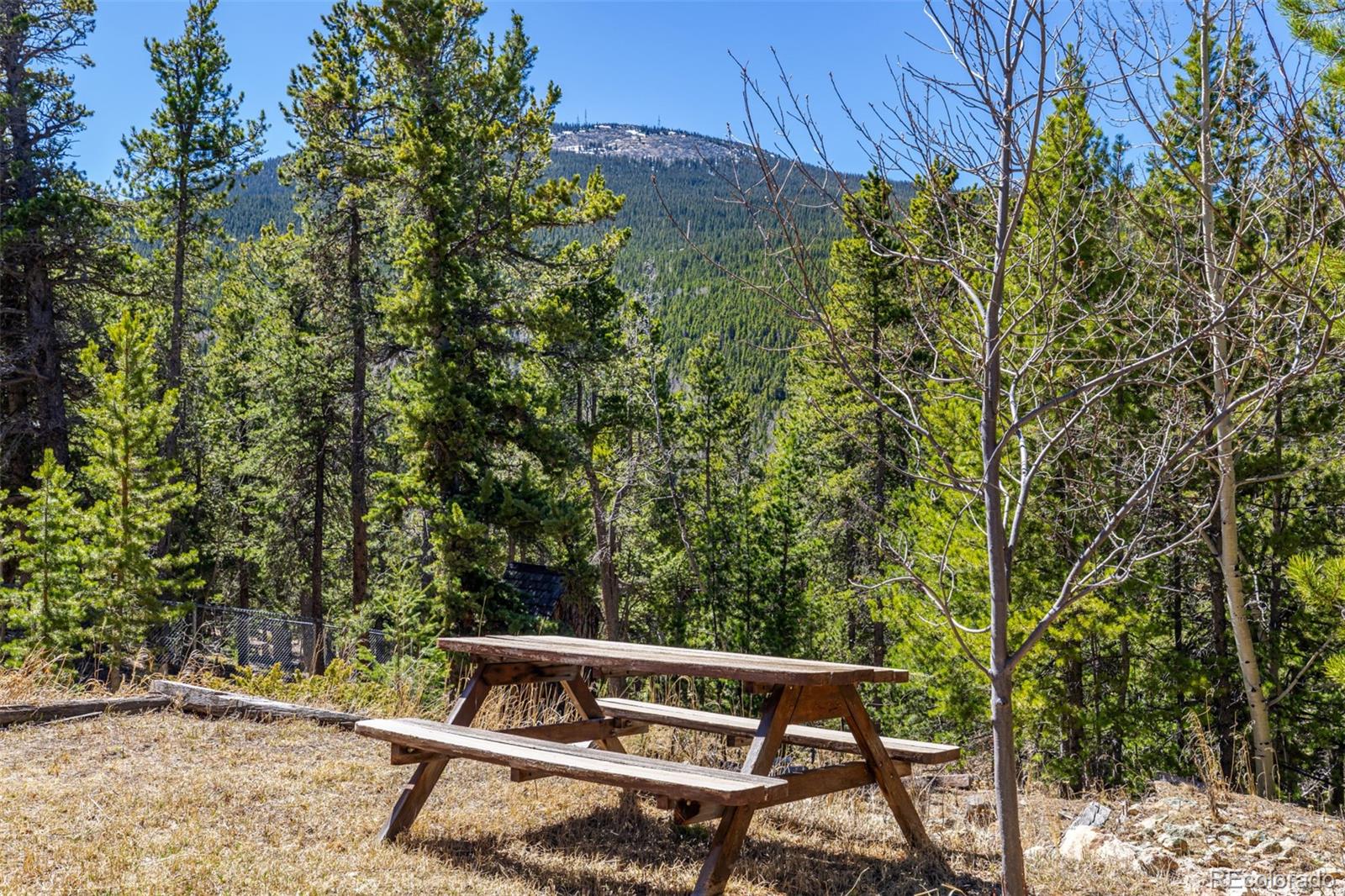 260 Pine Drive Idaho Springs CO 80452