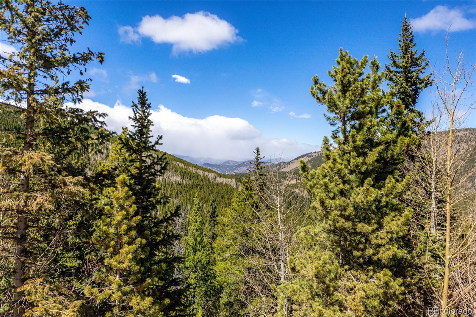 260 Pine Drive Idaho Springs CO 80452