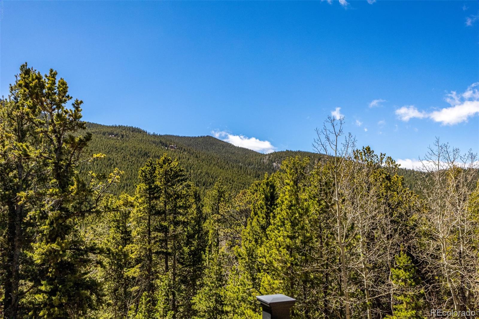 260 Pine Drive Idaho Springs CO 80452