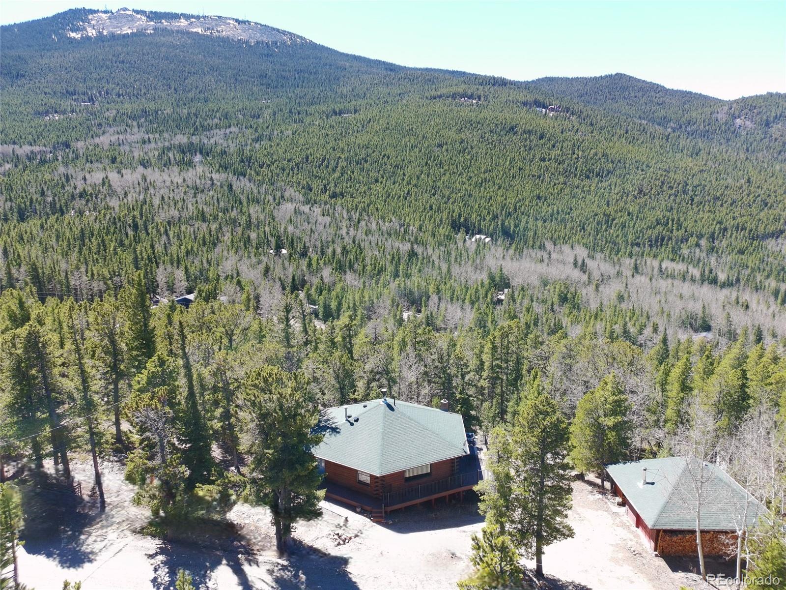 260 Pine Drive Idaho Springs CO 80452